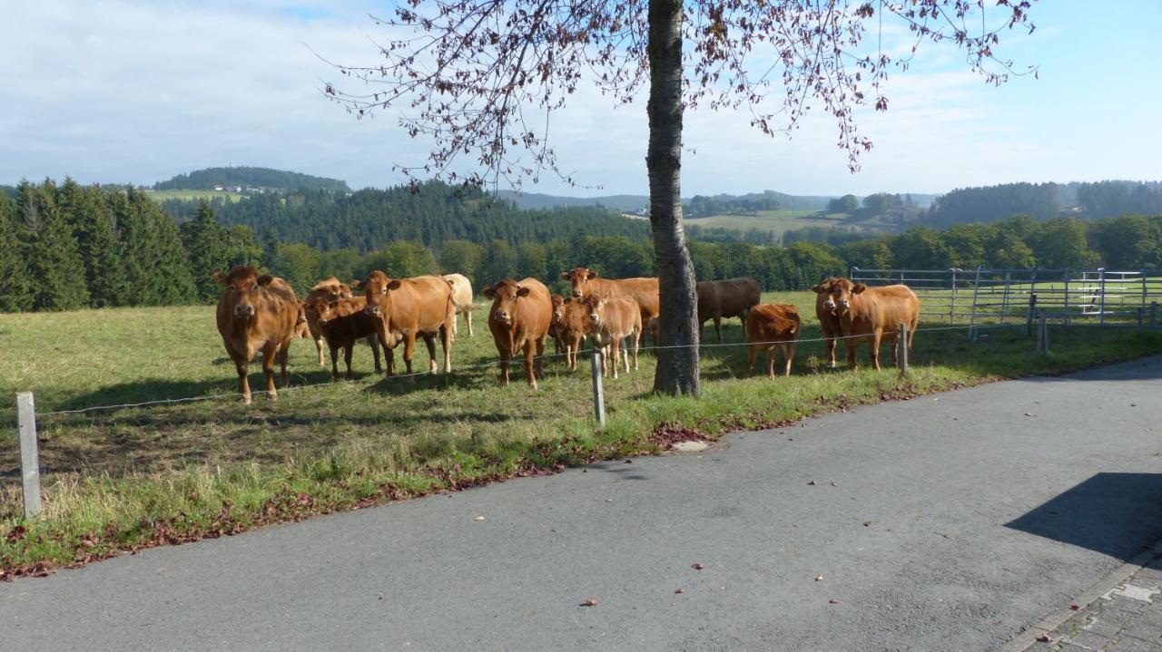 Aussichtsbauernhofpension Hof Gretchens Winterberg
